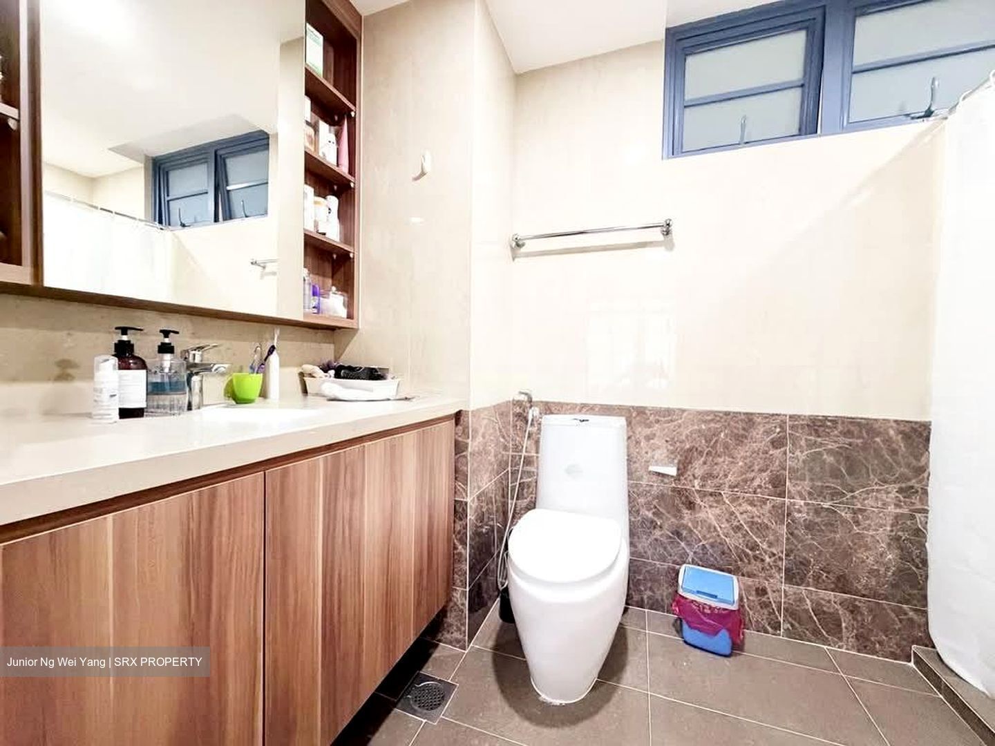 Sanctuary Green (D15), Condominium #565697931